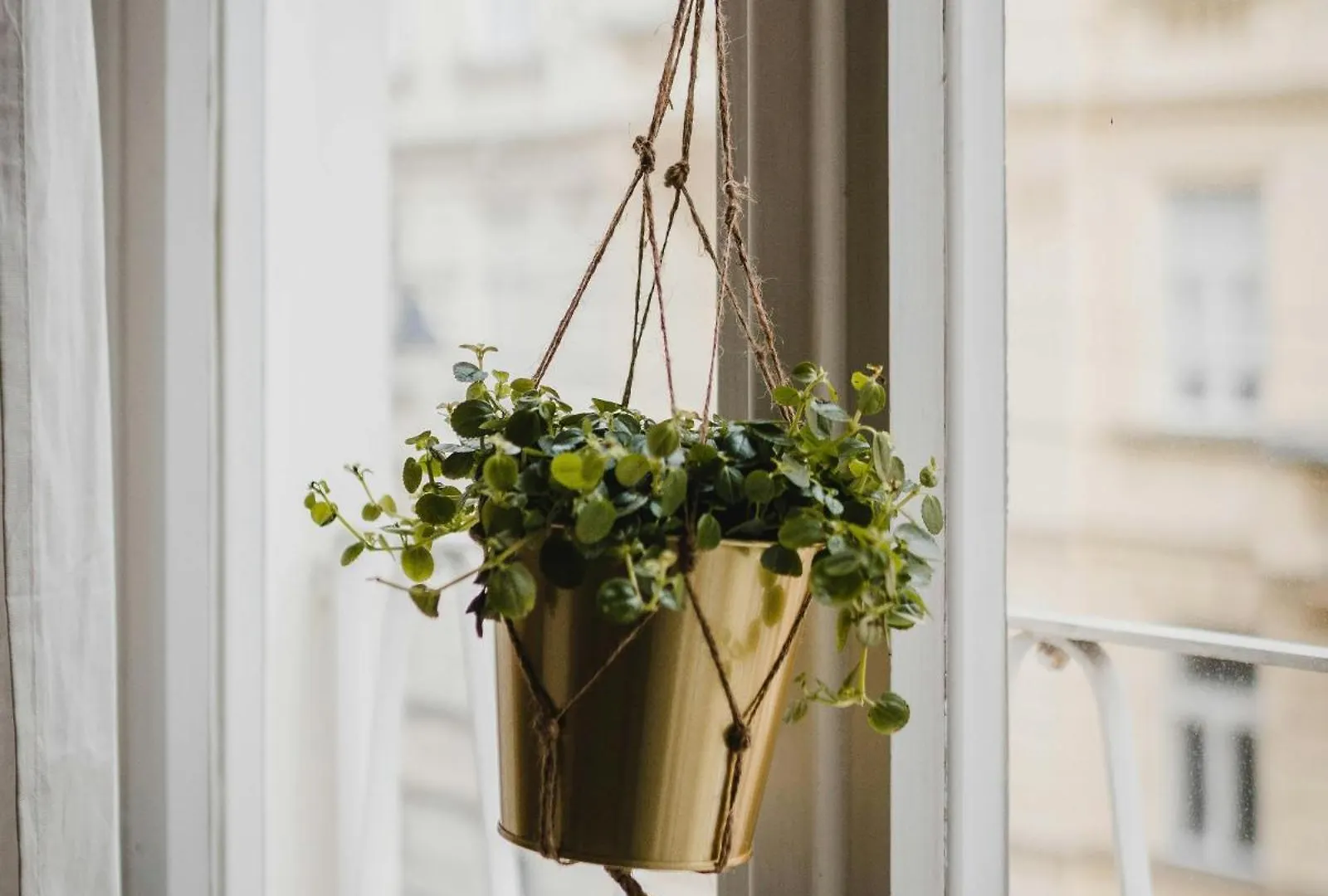 Homestay Zimmer Flower Nahe Bahnhof & Lkh Salzburg